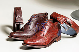 Картинка статьи Обувь Floris van Bommel