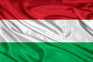 Картинка статьи Венгерские бренды обуви