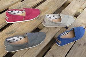 Картинка статьи Обувь Alpargatas