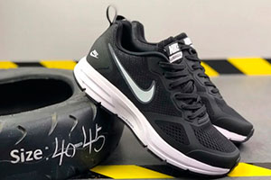 Картинка статьи Кроссовки Nike Air Pegasus