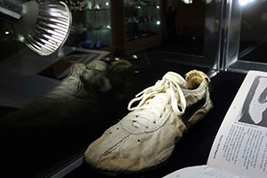 Картинка статьи Модель кроссовок Nike Moon