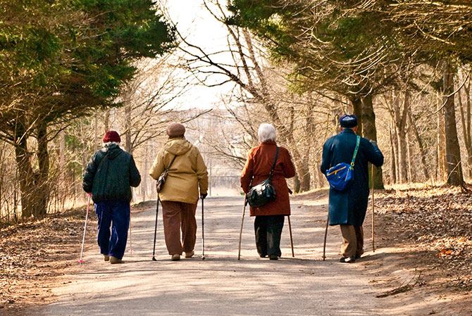 Пенсионеры занимаются ходьбой