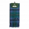 Clans Of Scotland Johnstone Ancient