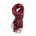 Clans of Scotland MacAlister