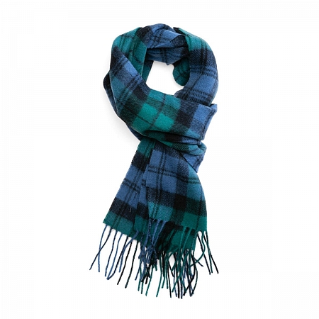 Clans of Scotland Campbell Clan Ancient