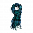Clans Of Scotland MacKenzie