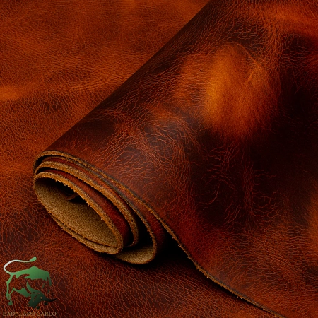 Badalassi Сarlo Wax Olmo