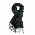Clans of Scotland Fraser Hunting