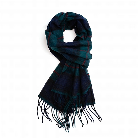 Clans of Scotland MacKinley