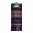 Clans of Scotland MacPherson Hunting