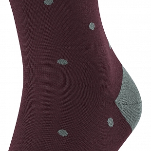 5Картинка Носки Falke Dot SO Barolo