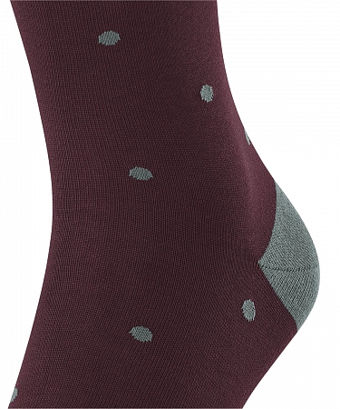 Falke Dot SO Barolo