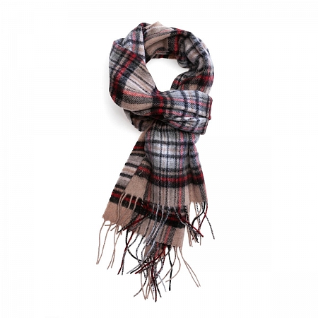 Clans of Scotland Stewart Camel