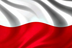 Польские бренды обуви: список лучших фирм (21 марок)